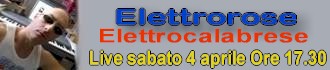 elettrorose2.jpg (12668 byte)